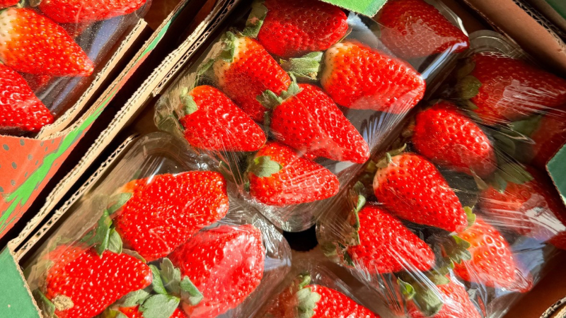 banner_0